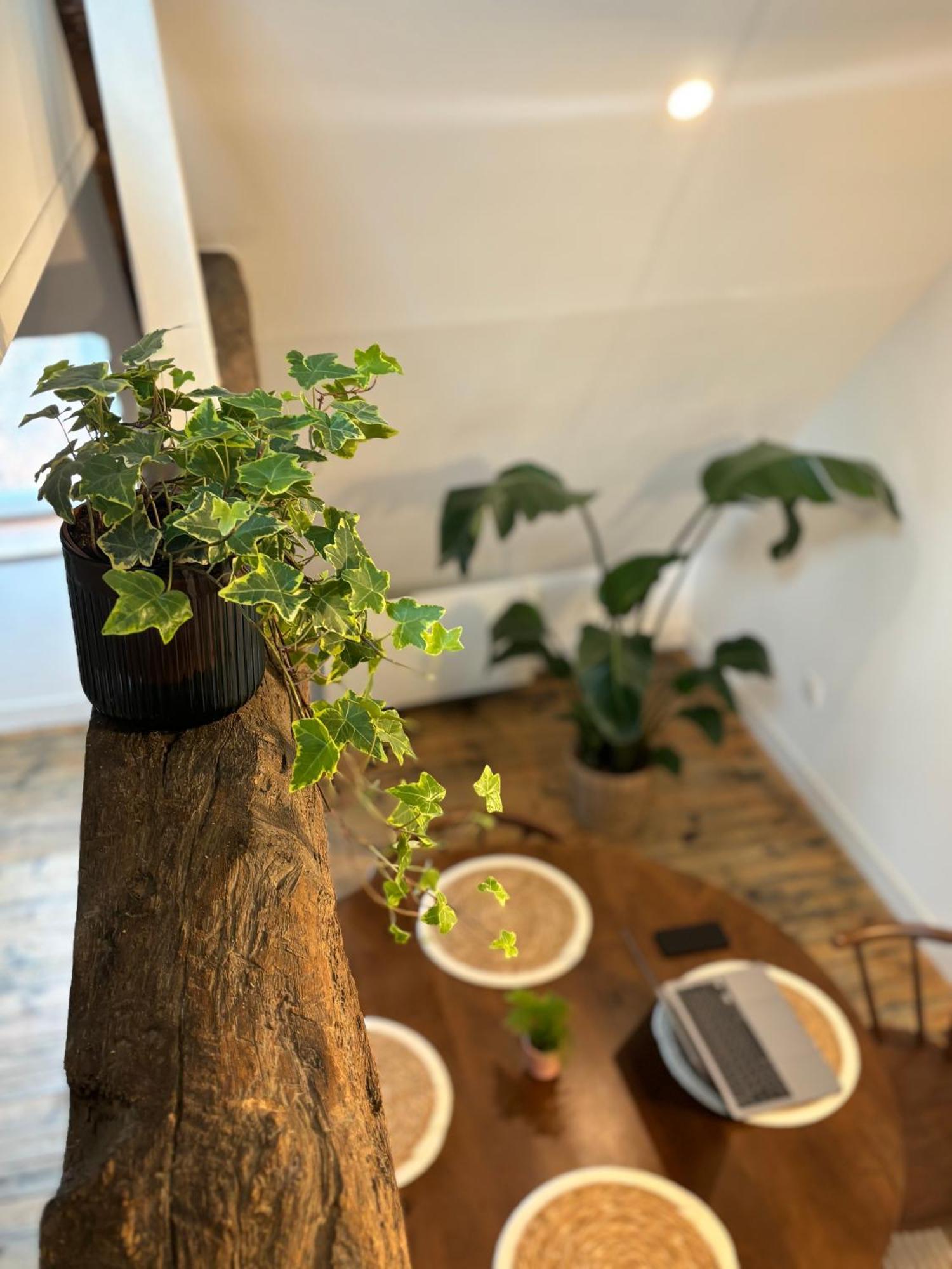 شقة La Maison D'Aline أراس المظهر الخارجي الصورة